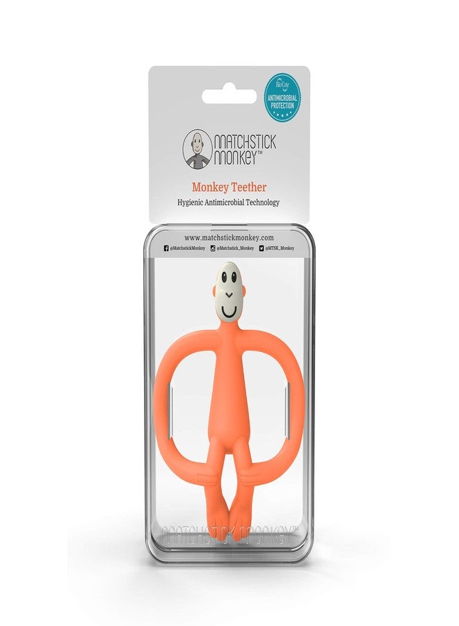 ماتشستيك مونكي قرد أعواد الثقاب، قرد عضاضة برتقالية - Image 4